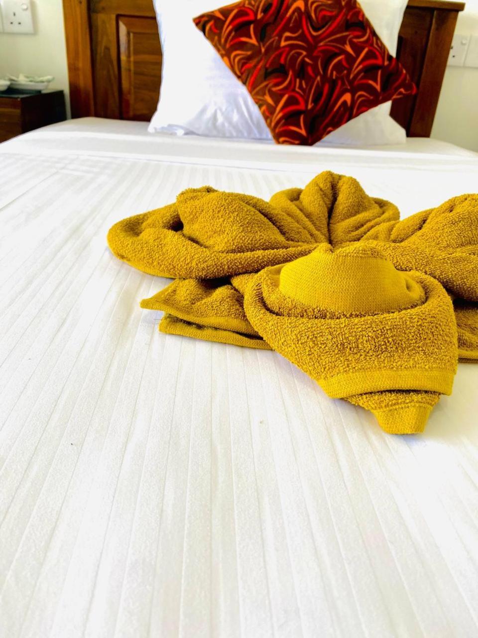Bed and Breakfast Pleasant Peak Элла Экстерьер фото
