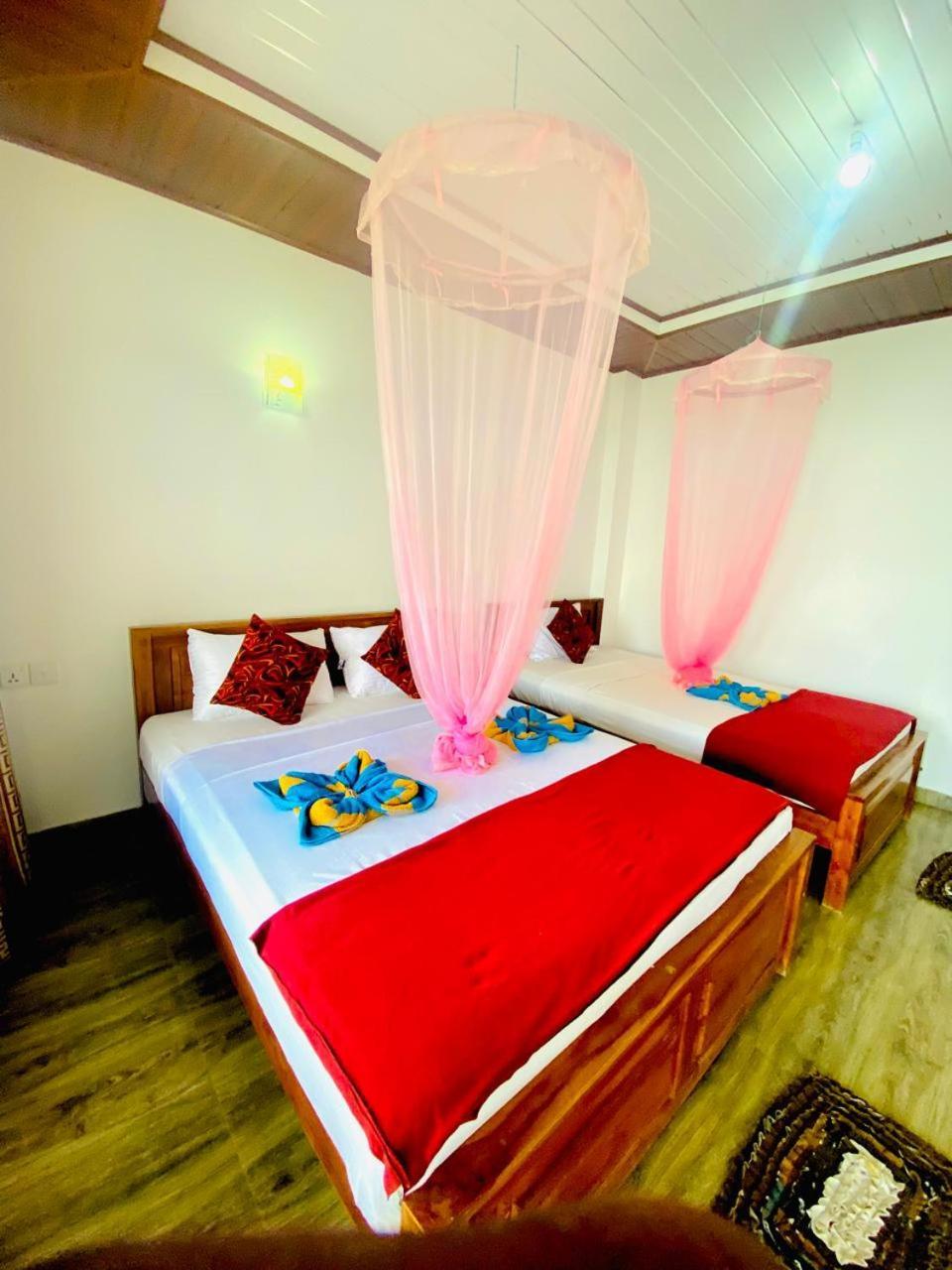 Bed and Breakfast Pleasant Peak Элла Экстерьер фото