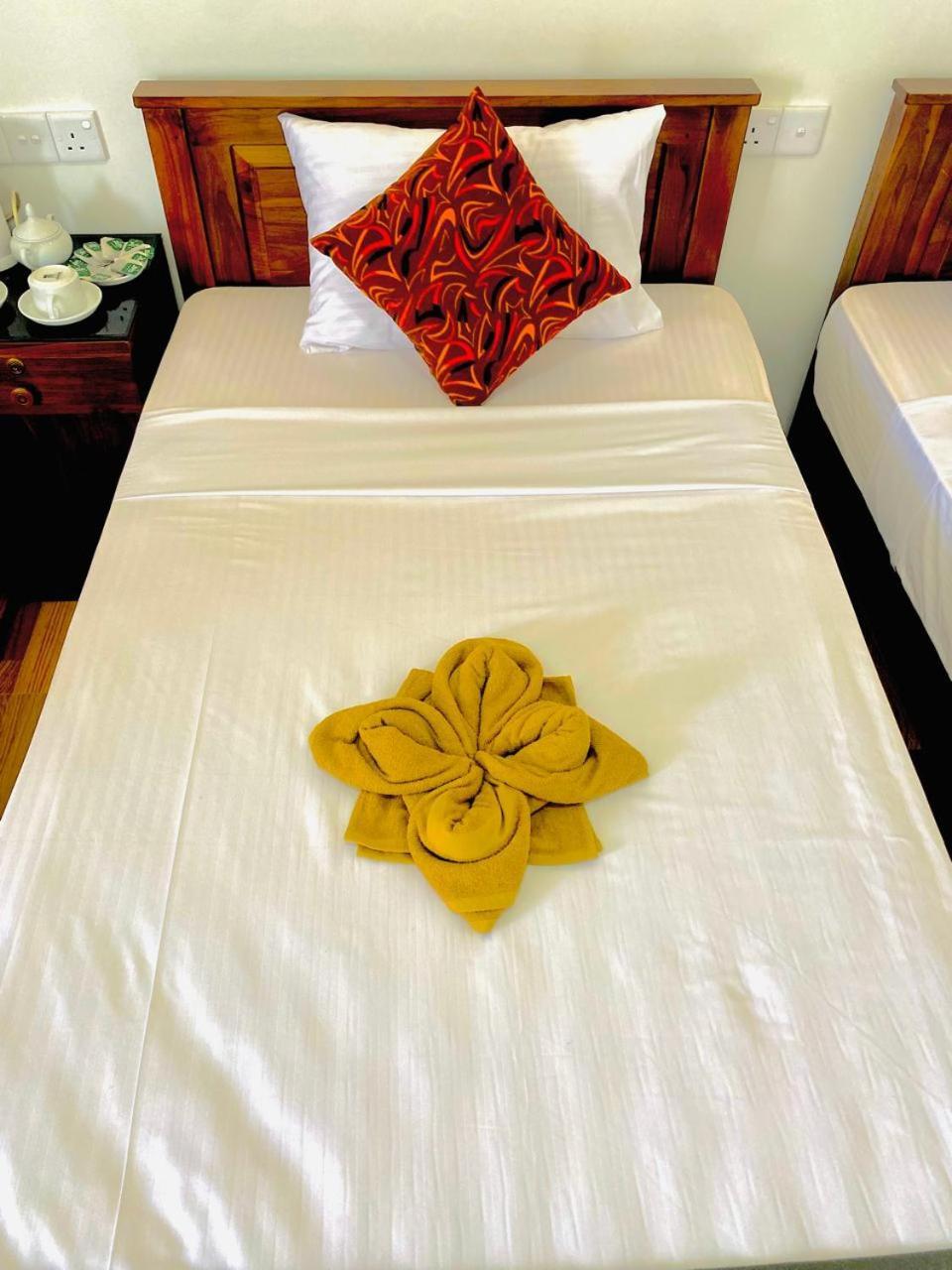 Bed and Breakfast Pleasant Peak Элла Экстерьер фото